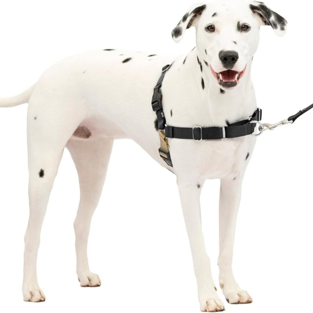 PetSafe Easy Walk No-Pull Dog Harness - The Ultimate Harness to Help Stop Pullin